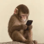 apeonfone