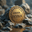 The  Petros Token