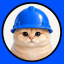 Basecat