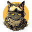 Kitten Haimer