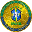 Brazil National Football Team Fan Token