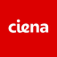 Ciena Corp (Derivatives)