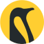 Penguin Solutions Inc (Derivatives)