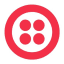 Twilio Inc (Derivatives)