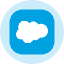 Salesforce Inc (Derivatives)