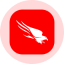 CrowdStrike Holdings Inc (Derivatives)