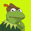 Robin the Frog