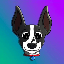 TOLY’S DOG