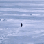 Nietzschean Penguin