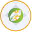 CEA Industries Tokenized bStocks
