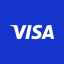 Visa Inc (Derivatives)