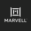 Marvell Technology (Derivatives)