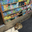 Bodega Cat