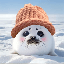 Sealwifhat