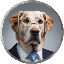 Big Dog Fink